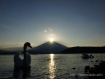 ダイヤモンド富士の時に白鳥がカメラのそばまでやってきました。 13年10月28日撮影