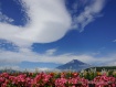 青空に浮かぶ白い雲が印象的でした。 14年7月9日撮影