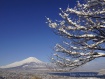 雪が降って真っ白になり、空と湖の青とコントラストがきれいでした。 16年3月15日撮影