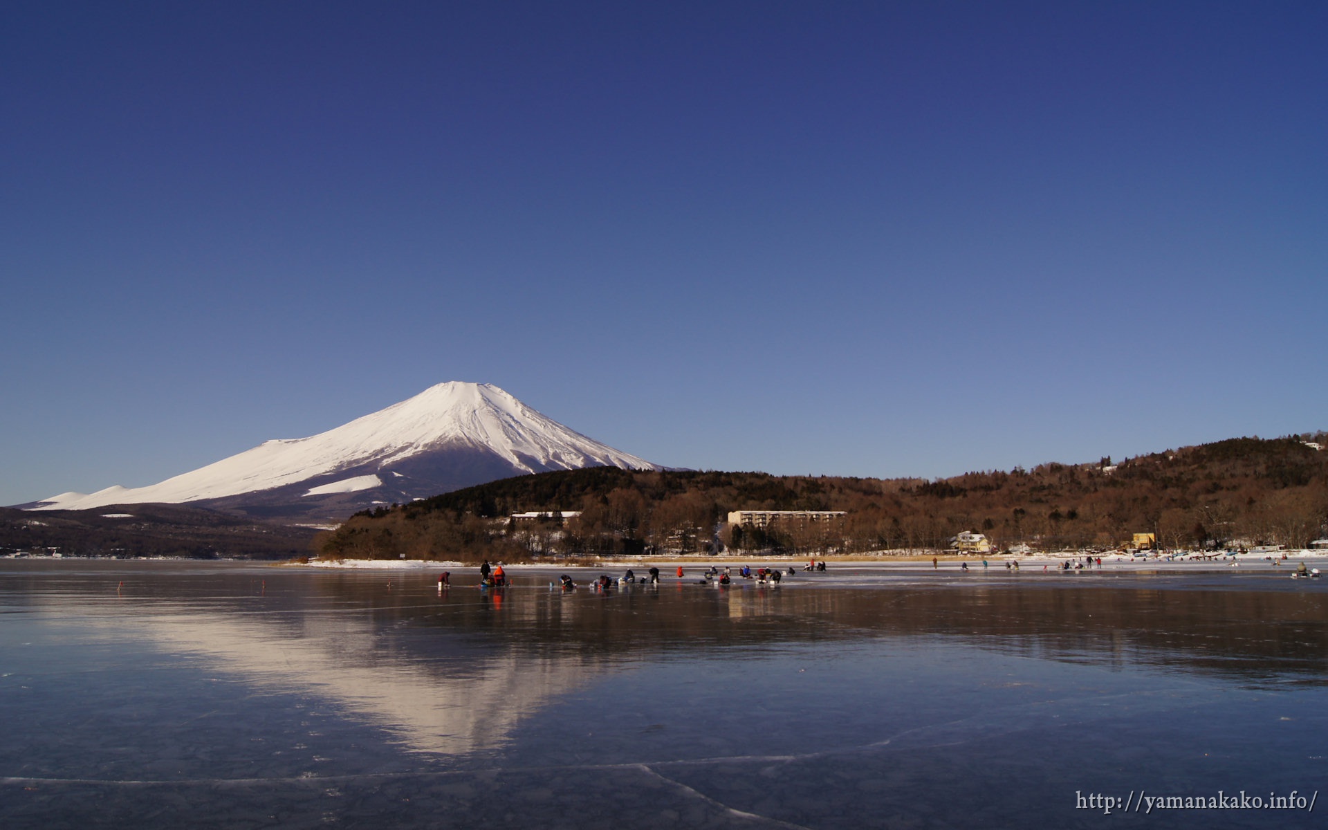 12年の富士山 壁紙用 山中湖観光情報