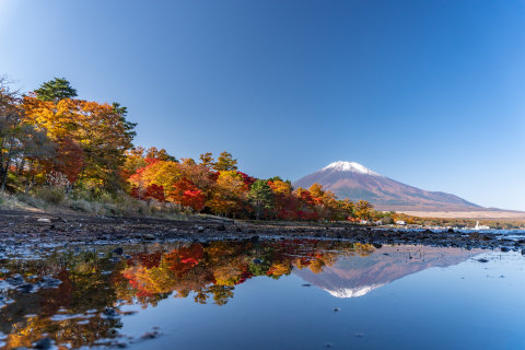 11/7、逆さ富士と逆さ紅葉