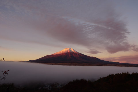 11/11、雲海の向こうに富士山